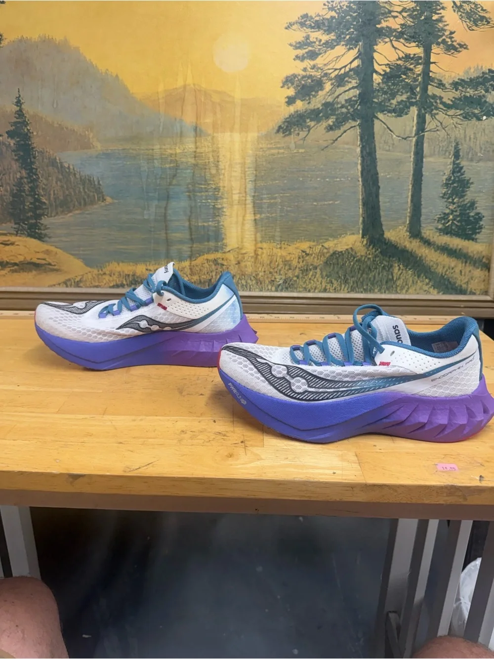 Saucony Endorphin Pro 4 White, Purple & Blue running Sneakers women’s size 9.5